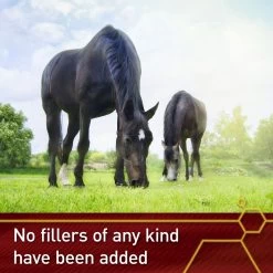 Vita Flex Pro Pure C Premium Vitamin C Powder Horse Supplement, 2-lb Jar -Horse Supplies Shop 236260 PT5. AC SS1800 V1659969086