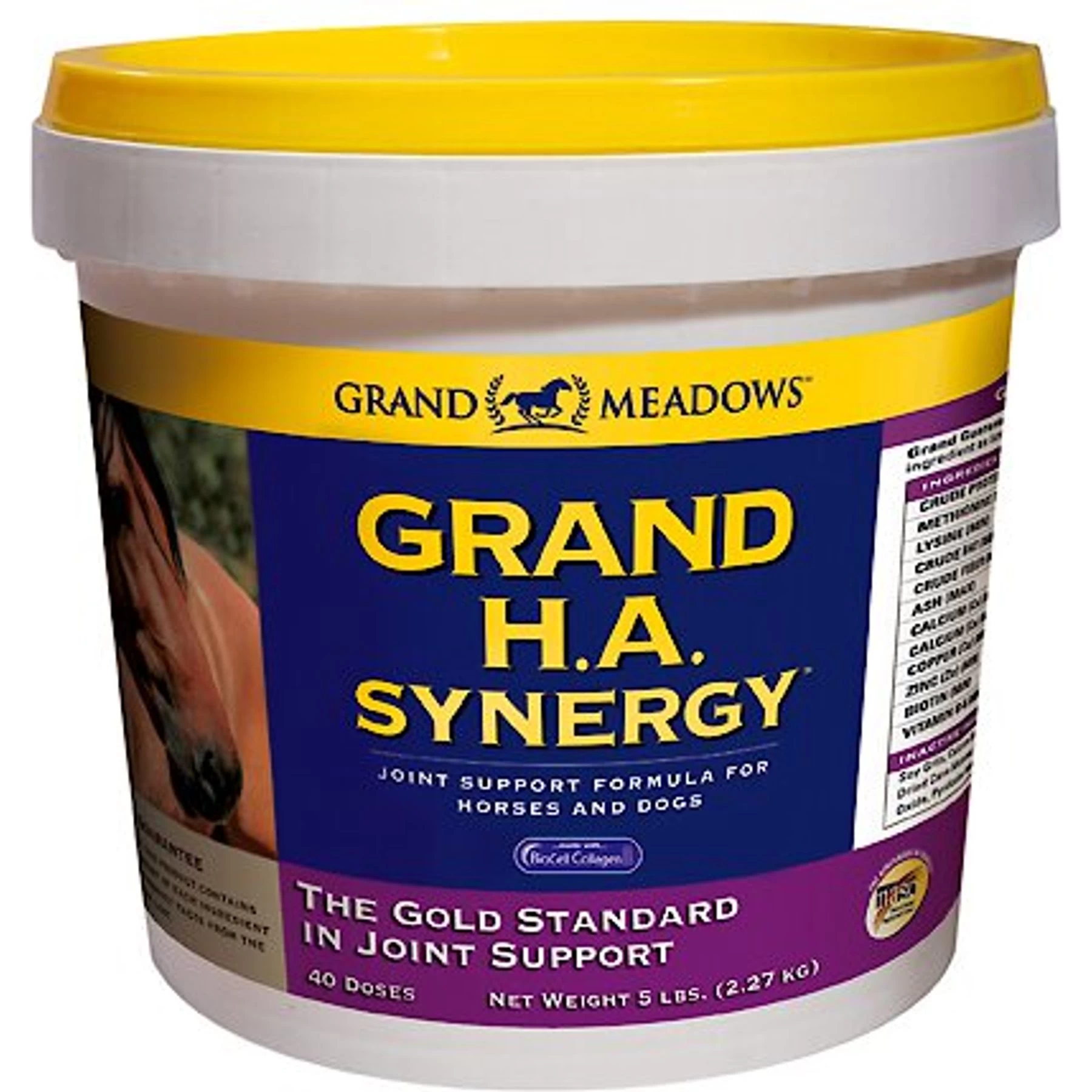 Grand Meadows Grand H.A. Synergy Joint Support Powder Dog & Horse Supplement 1 Grand Meadows Grand H.A. Synergy Joint Support Powder Dog & Horse Supplement