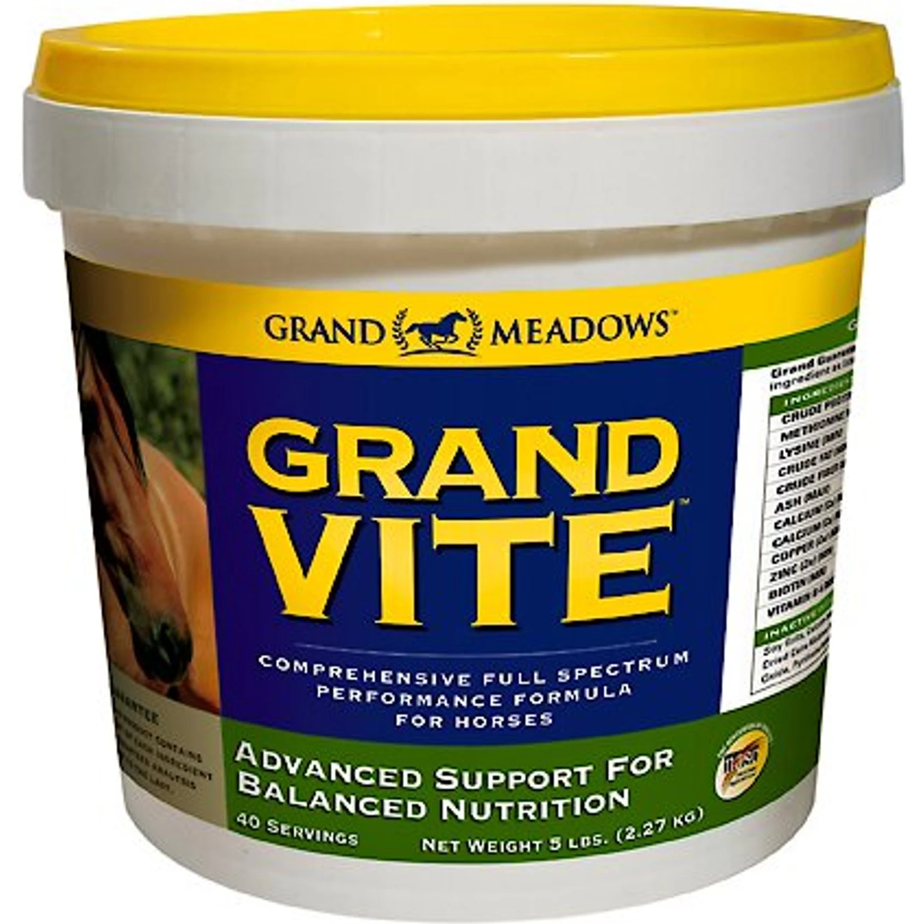 Grand Meadows Grand Vite Comprehensive Full Spectrum Performance Powder Horse Supplement 1 Grand Meadows Grand Vite Comprehensive Full Spectrum Performance Powder Horse Supplement