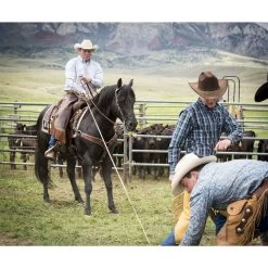 Weaver Leather Working Tack Roper Horse Breast Collar 8 Weaver Leather Working Tack Roper Horse Breast Collar -Horse Supplies Shop 240043 PT2. AC SS1800 V1682103815