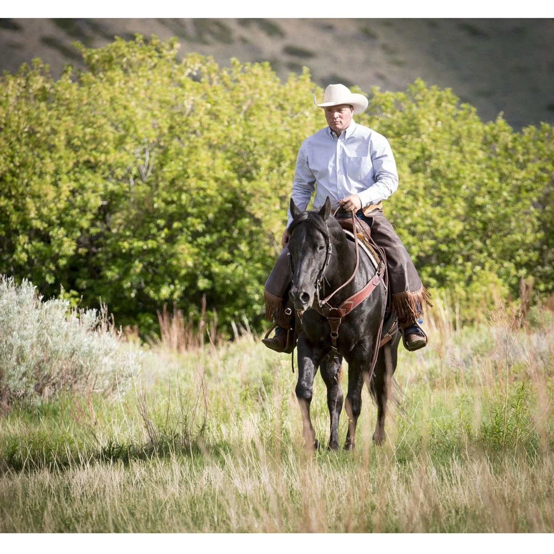 Weaver Leather Working Tack Roper Horse Breast Collar 5 Weaver Leather Working Tack Roper Horse Breast Collar - Image 5
