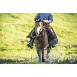 Weaver Leather Working Tack Pulling Horse Breast Collar 11 Weaver Leather Working Tack Pulling Horse Breast Collar -Horse Supplies Shop 240053 PT2. AC SS1800 V1682112399