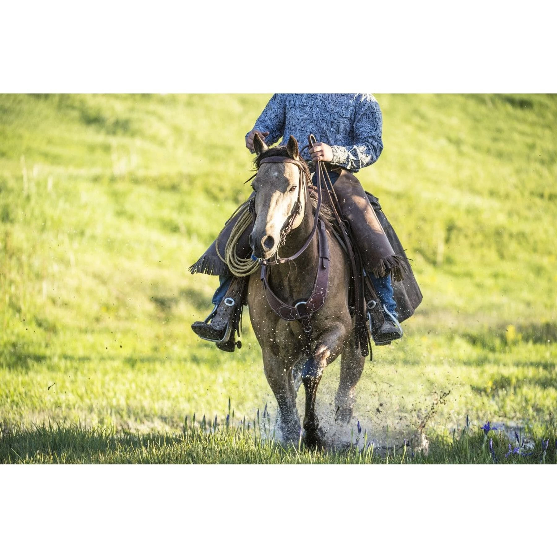Weaver Leather Working Tack Pulling Horse Breast Collar 3 Weaver Leather Working Tack Pulling Horse Breast Collar - Image 3