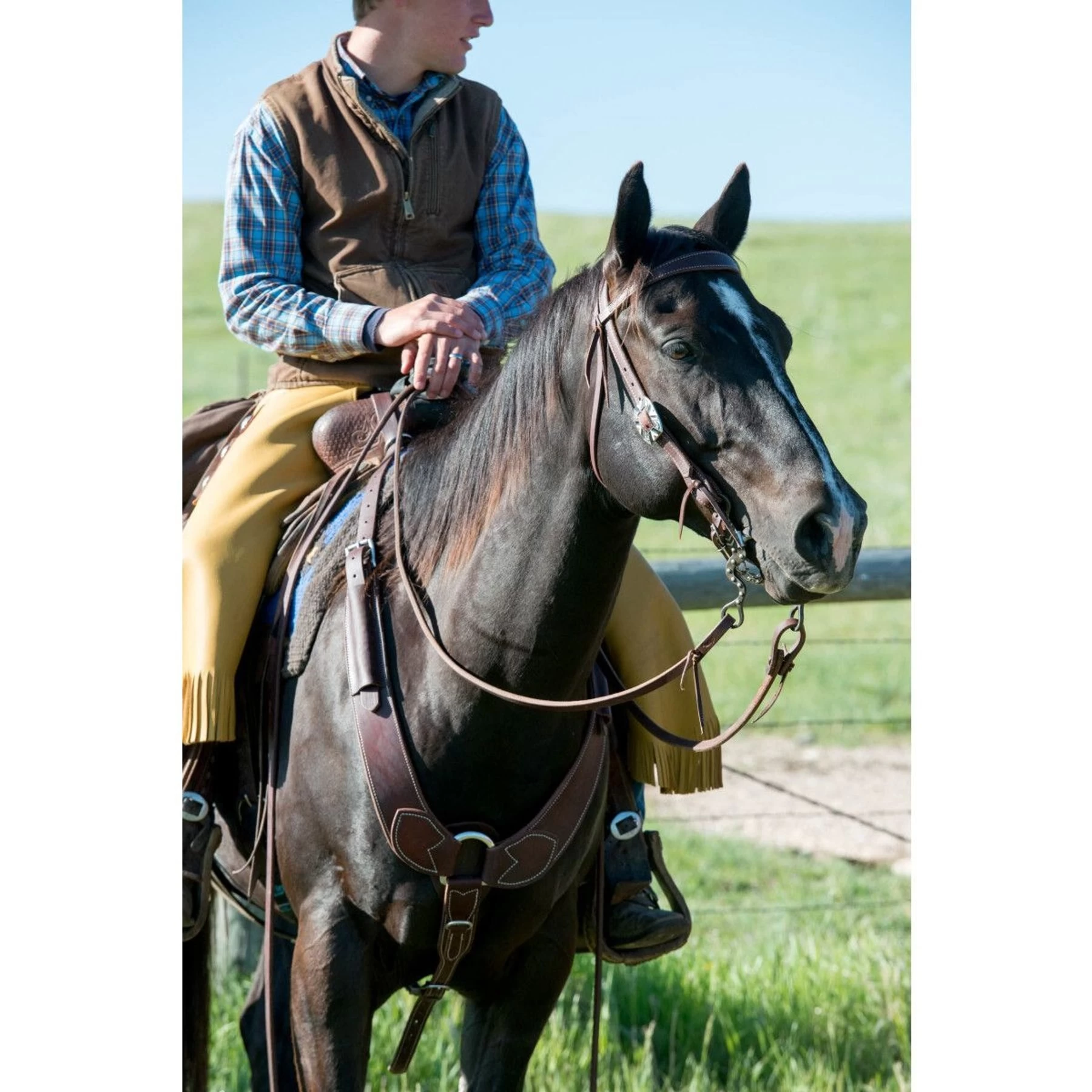 Weaver Leather Working Tack Pulling Horse Breast Collar 6 Weaver Leather Working Tack Pulling Horse Breast Collar - Image 6