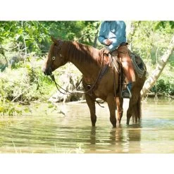 Weaver Leather Working Tack Pulling Horse Breast Collar 15 Weaver Leather Working Tack Pulling Horse Breast Collar -Horse Supplies Shop 240053 PT6. AC SS1800 V1682112369