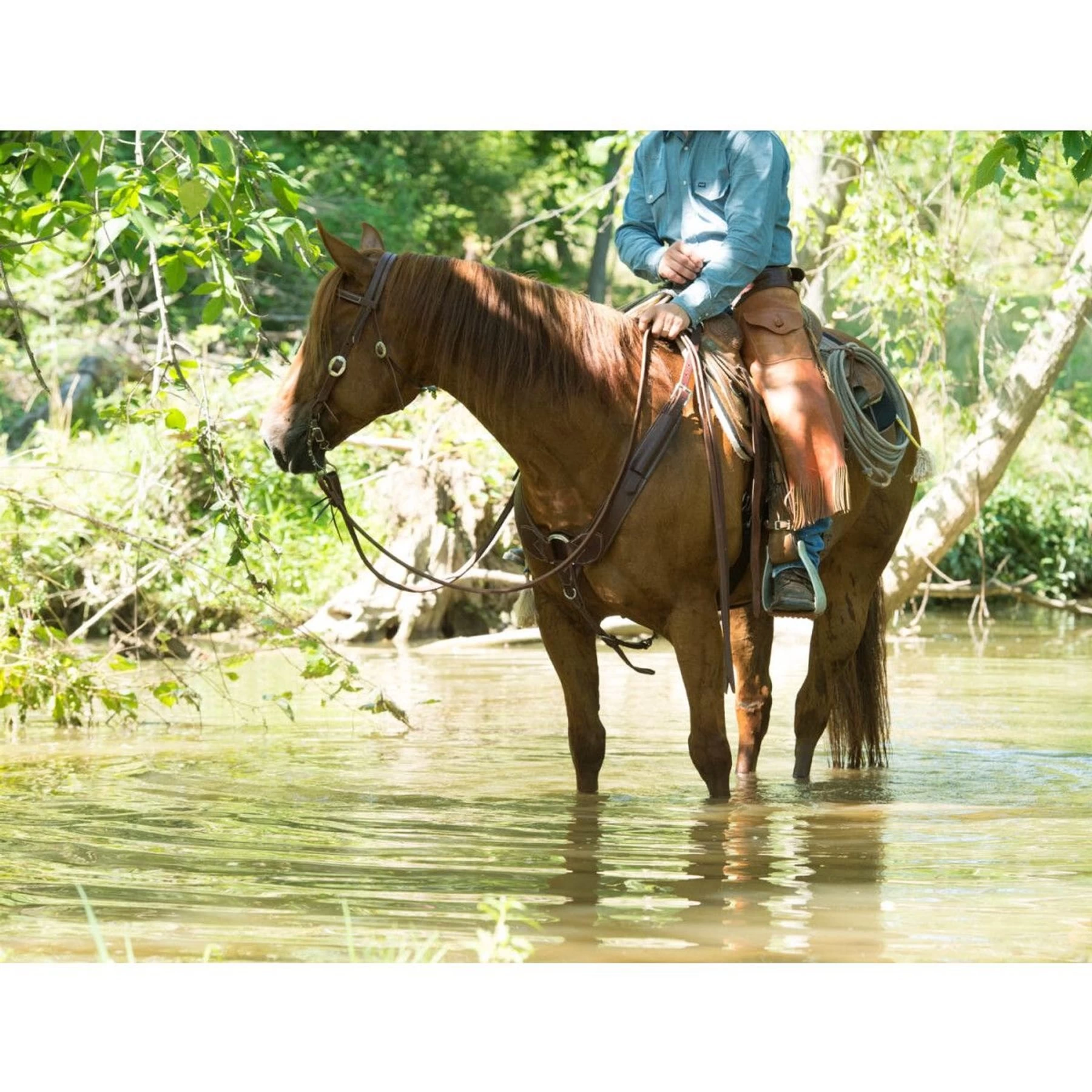 Weaver Leather Working Tack Pulling Horse Breast Collar 7 Weaver Leather Working Tack Pulling Horse Breast Collar - Image 7