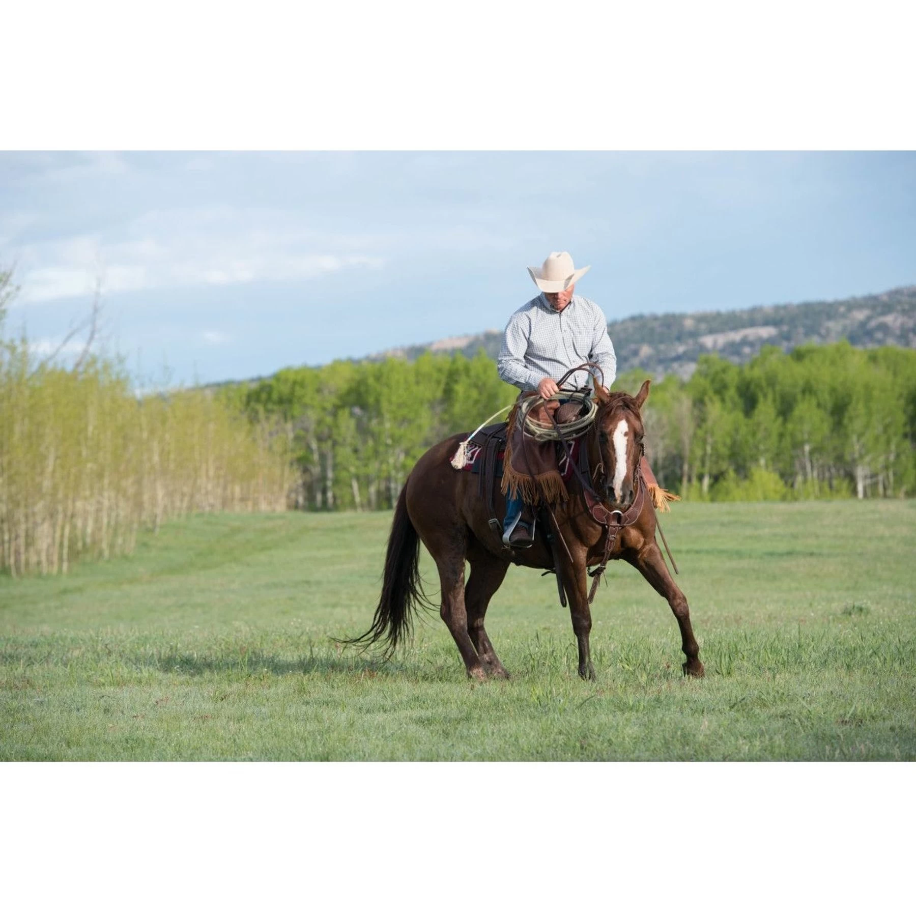 Weaver Leather Working Tack Pulling Horse Breast Collar 8 Weaver Leather Working Tack Pulling Horse Breast Collar - Image 8