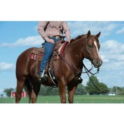 Weaver Leather Austin Horse Breast Collar 4 Weaver Leather Austin Horse Breast Collar -Horse Supplies Shop 240055 PT1. AC SS1800 V1681932706