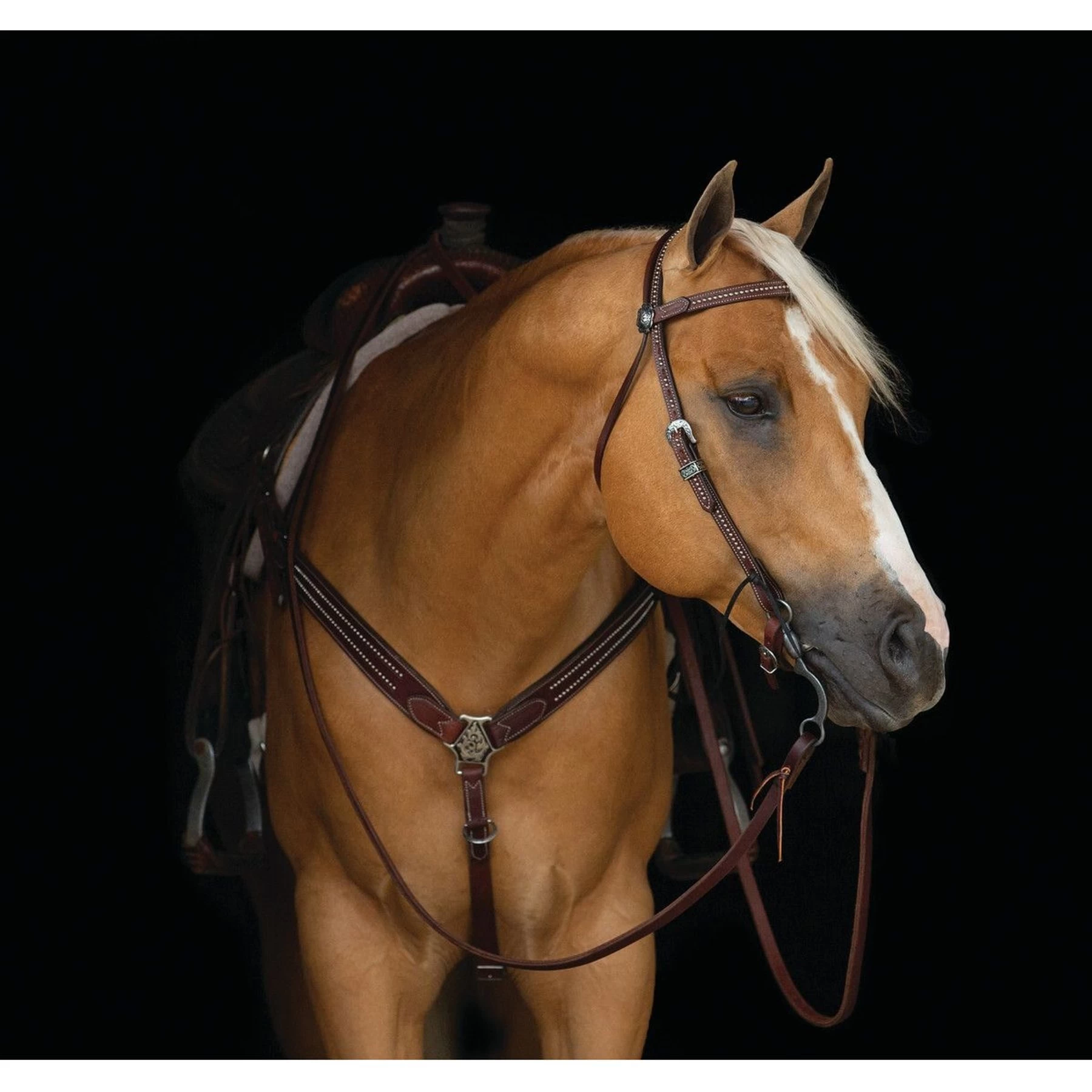 Weaver Leather Austin Horse Breast Collar 3 Weaver Leather Austin Horse Breast Collar - Image 3