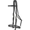 Weaver Leather Brahma Webb Horse Halter Bridle