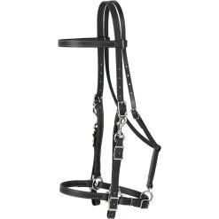 Weaver Leather Brahma Webb Horse Halter Bridle