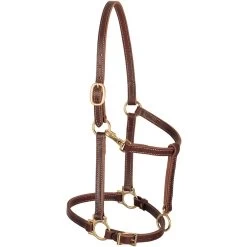 Weaver Leather Track Horse Halter, Mahogany