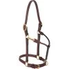 Weaver Leather Double Buckle Crown Horse Halter