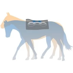 Weaver Leather Synergy Natural Fit Horse Saddle Pad -Horse Supplies Shop 240121 PT8. AC SS1800 V1682100937