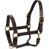 Derby Originals Coventry Triple Stitch Adjustable Leather Horse Halter, Dark Brown