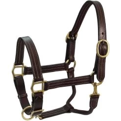 Derby Originals Coventry Triple Stitch Adjustable Leather Horse Halter, Dark Brown
