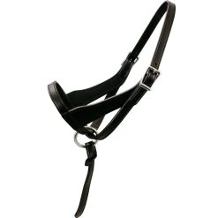 Paris Tack Double Layered Leather Adjustable Horse Foal Halter & Extra Crown