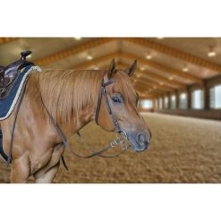 Tahoe Tack Plain Double Layer Nylon Horse Headstall & Reins 6 Tahoe Tack Plain Double Layer Nylon Horse Headstall & Reins -Horse Supplies Shop 245008 PT2. AC SS1800 V1598560561