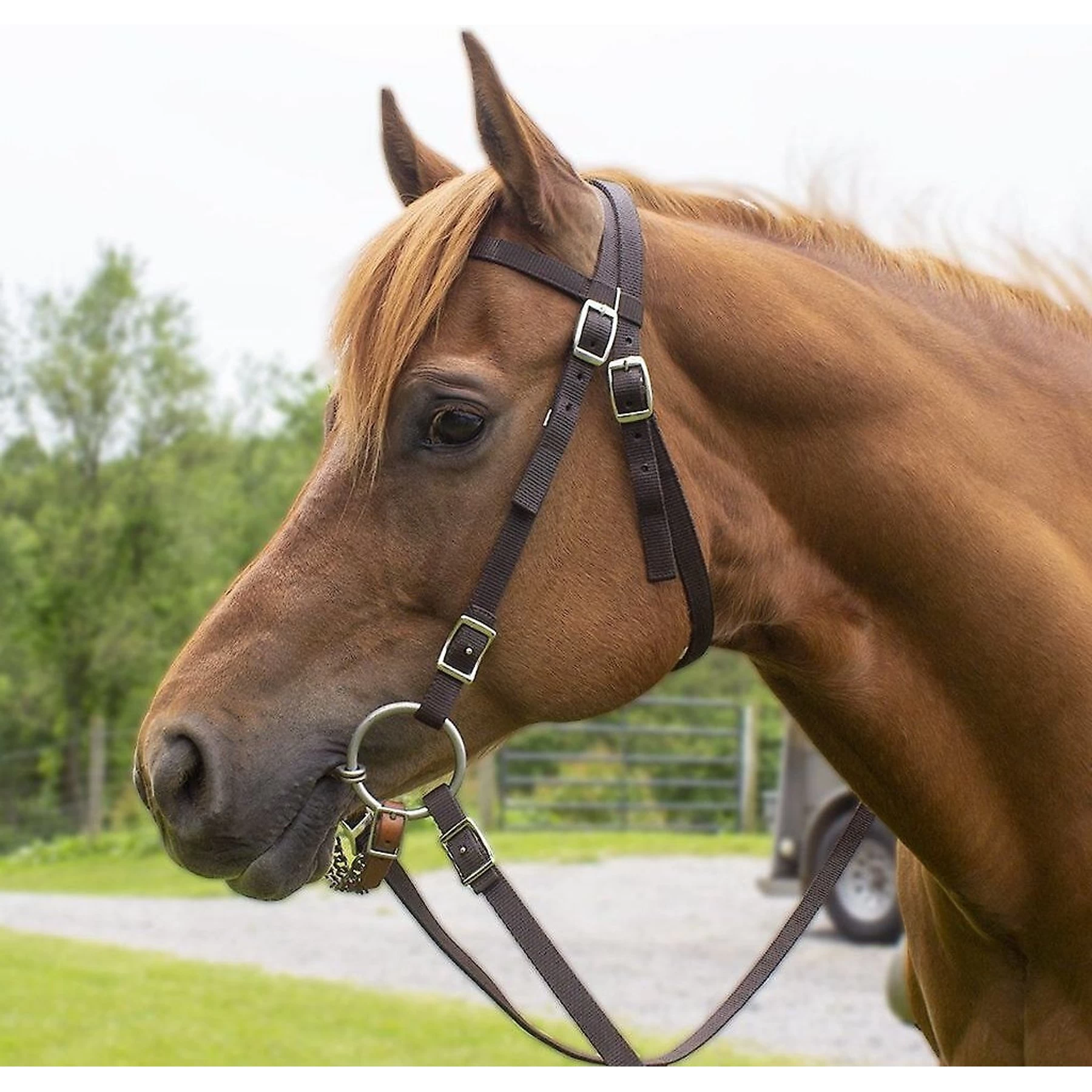 Tahoe Tack Double Layered Nylon Western Horse Headstall & Reins, Full 3 Tahoe Tack Double Layered Nylon Western Horse Headstall & Reins, Full - Image 3