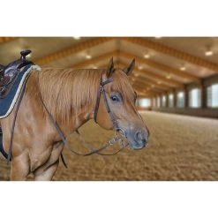 Tahoe Tack Double Layered Nylon Western Horse Headstall & Reins, Full 7 Tahoe Tack Double Layered Nylon Western Horse Headstall & Reins, Full -Horse Supplies Shop 245011 PT3. AC SS1800 V1609284464