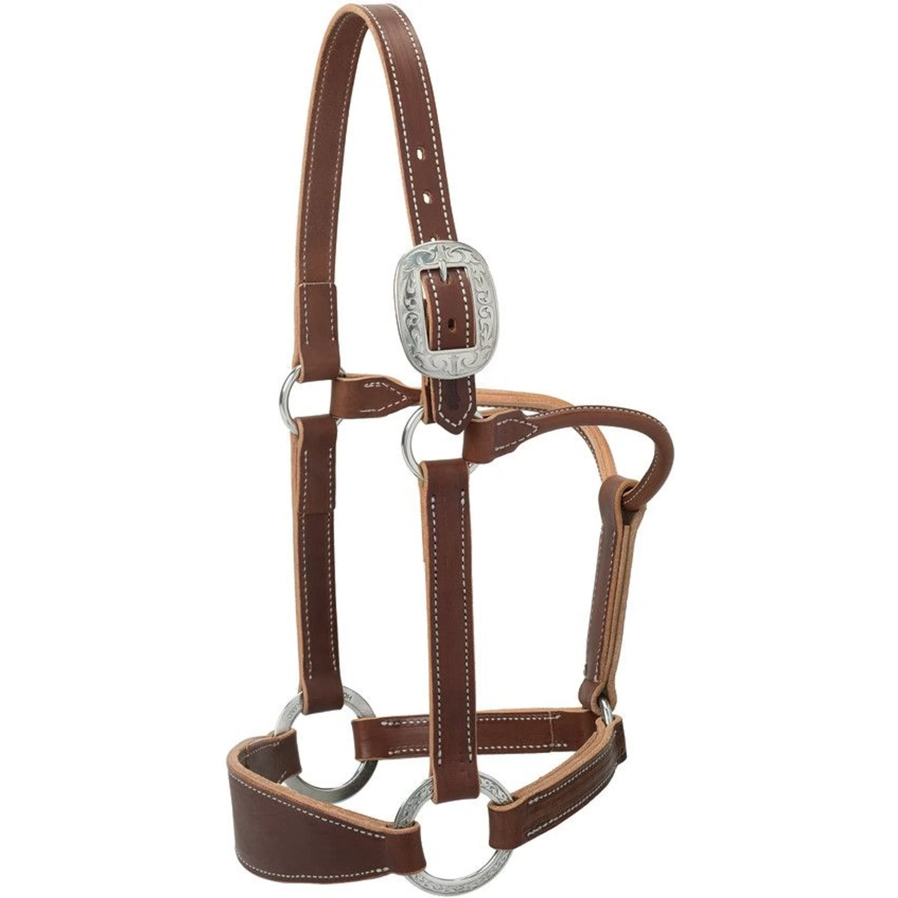Weaver Leather Stacy Westfall Bronc Horse Halter 1 Weaver Leather Stacy Westfall Bronc Horse Halter