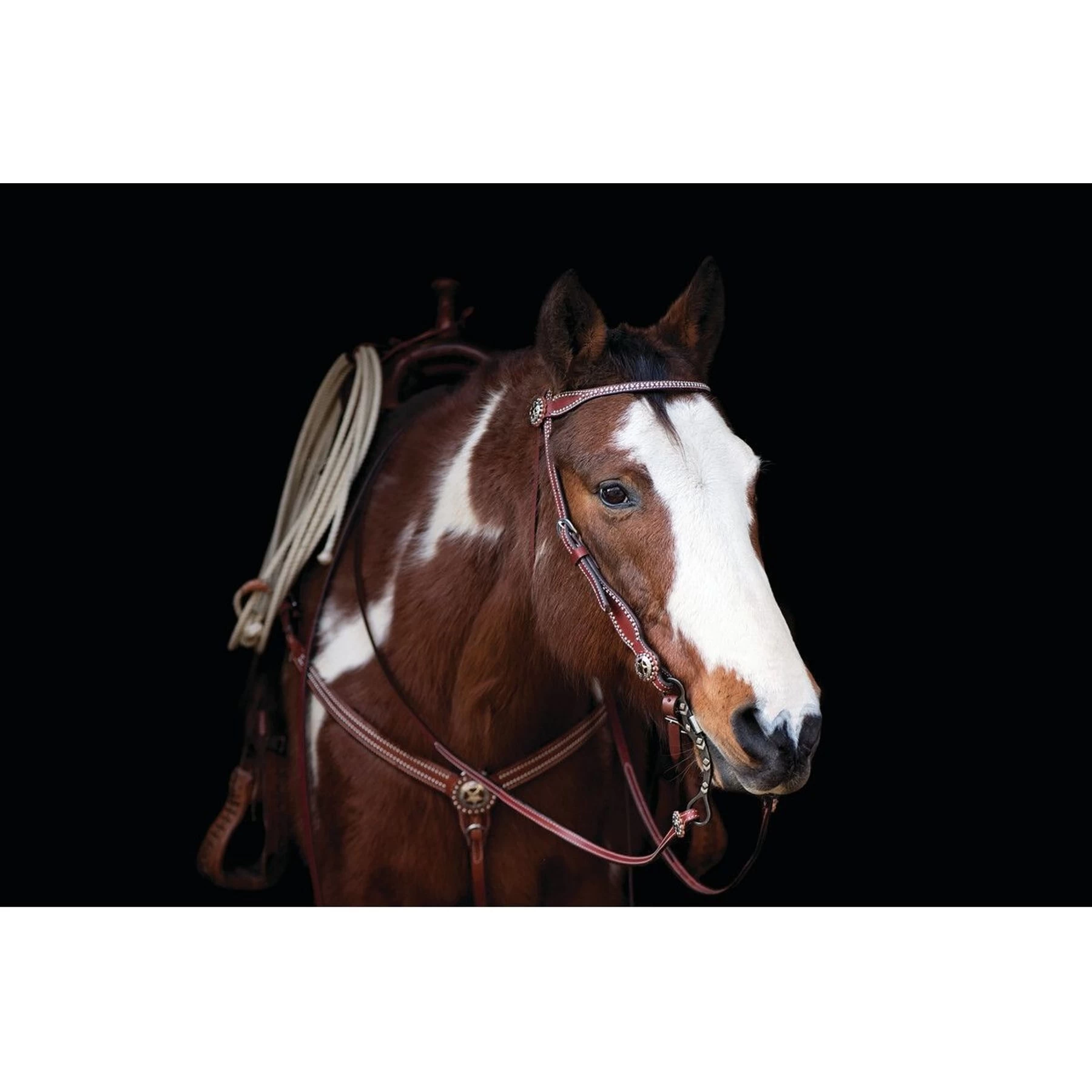 Weaver Leather Texas Star Tapered Ring-in-Center Horse Breast Collar 2 Weaver Leather Texas Star Tapered Ring-in-Center Horse Breast Collar - Image 2