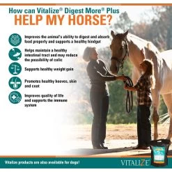 Vitalize Digest More Plus Pellets Horse Supplement, 10-lb Bag -Horse Supplies Shop 251346 PT2. AC SS1800 V1659634945