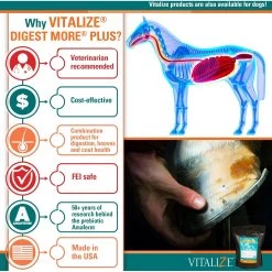 Vitalize Digest More Plus Pellets Horse Supplement, 10-lb Bag -Horse Supplies Shop 251346 PT3. AC SS1800 V1659634943