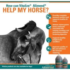 Vitalize Alimend 24/7 Equine Stomach Comfort Liquid Horse Supplement -Horse Supplies Shop 251348 PT3. AC SS1800 V1659634822