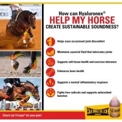 Hyaluronex Joint Support Liquid Horse Supplement -Horse Supplies Shop 251351 PT3. AC SS1800 V1659634764