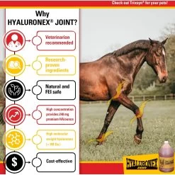 Hyaluronex Joint Support Liquid Horse Supplement -Horse Supplies Shop 251351 PT4. AC SS1800 V1659634889