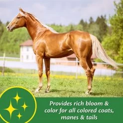 Farnam Super 14 Healthy Skin & Coat Granules Horse Supplement -Horse Supplies Shop 252068 PT3. AC SS1800 V1600007157