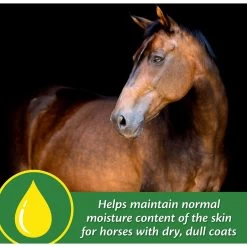 Farnam Super 14 Healthy Skin & Coat Granules Horse Supplement -Horse Supplies Shop 252068 PT4. AC SS1800 V1600007185