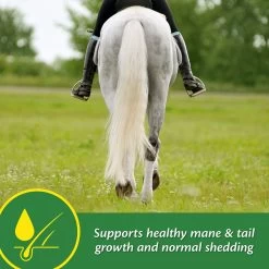 Farnam Super 14 Healthy Skin & Coat Granules Horse Supplement -Horse Supplies Shop 252068 PT5. AC SS1800 V1600007166