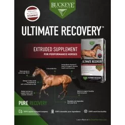Buckeye Nutrition Ultimate Recovery Extruded Performance Pellets Horse Supplement, 30-lb Bag 7 Buckeye Nutrition Ultimate Recovery Extruded Performance Pellets Horse Supplement, 30-lb Bag -Horse Supplies Shop 252629 PT3. AC SS1800 V1671030333