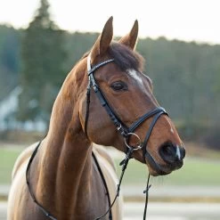 Horze Equestrian Weston Snaffle Horse Bridle, Black -Horse Supplies Shop 255035 PT2. AC SS1800 V1602726970