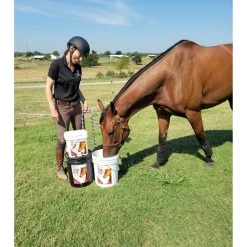 Arnall's Naturals Total Plus Hip & Joint Support Powder Horse Supplement 5 Arnall's Naturals Total Plus Hip & Joint Support Powder Horse Supplement -Horse Supplies Shop 256772 PT2. AC SS1800 V1603373508