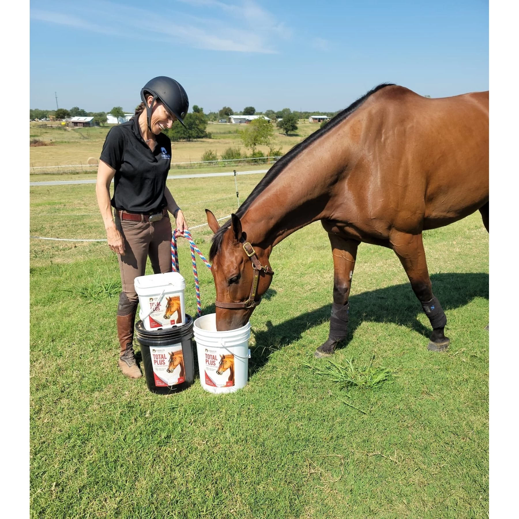 Arnall's Naturals Total Hip & Joint Support Powder Horse Supplement 3 Arnall's Naturals Total Hip & Joint Support Powder Horse Supplement - Image 3