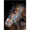 Stübben Reflective Horse Stable Halter, Blue