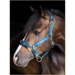 Stübben Reflective Horse Stable Halter, Blue
