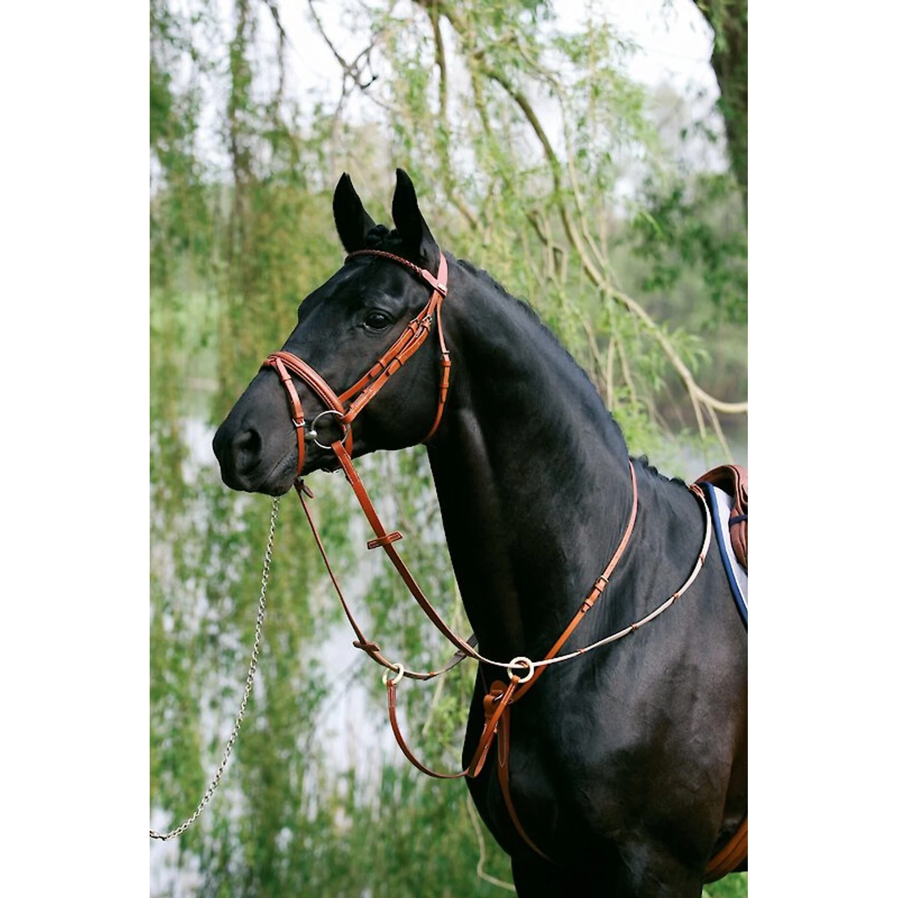 Stübben Horse Running Martingale 1 Stübben Horse Running Martingale