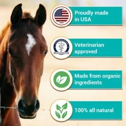 RestoraPet Equine Formula Apple-Carrot Flavor Horse Supplement, 8-oz Bottle -Horse Supplies Shop 259496 PT5. AC SS1800 V1606178511