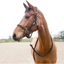 Horze Equestrian Cooper Halter Horse Lead Ropes