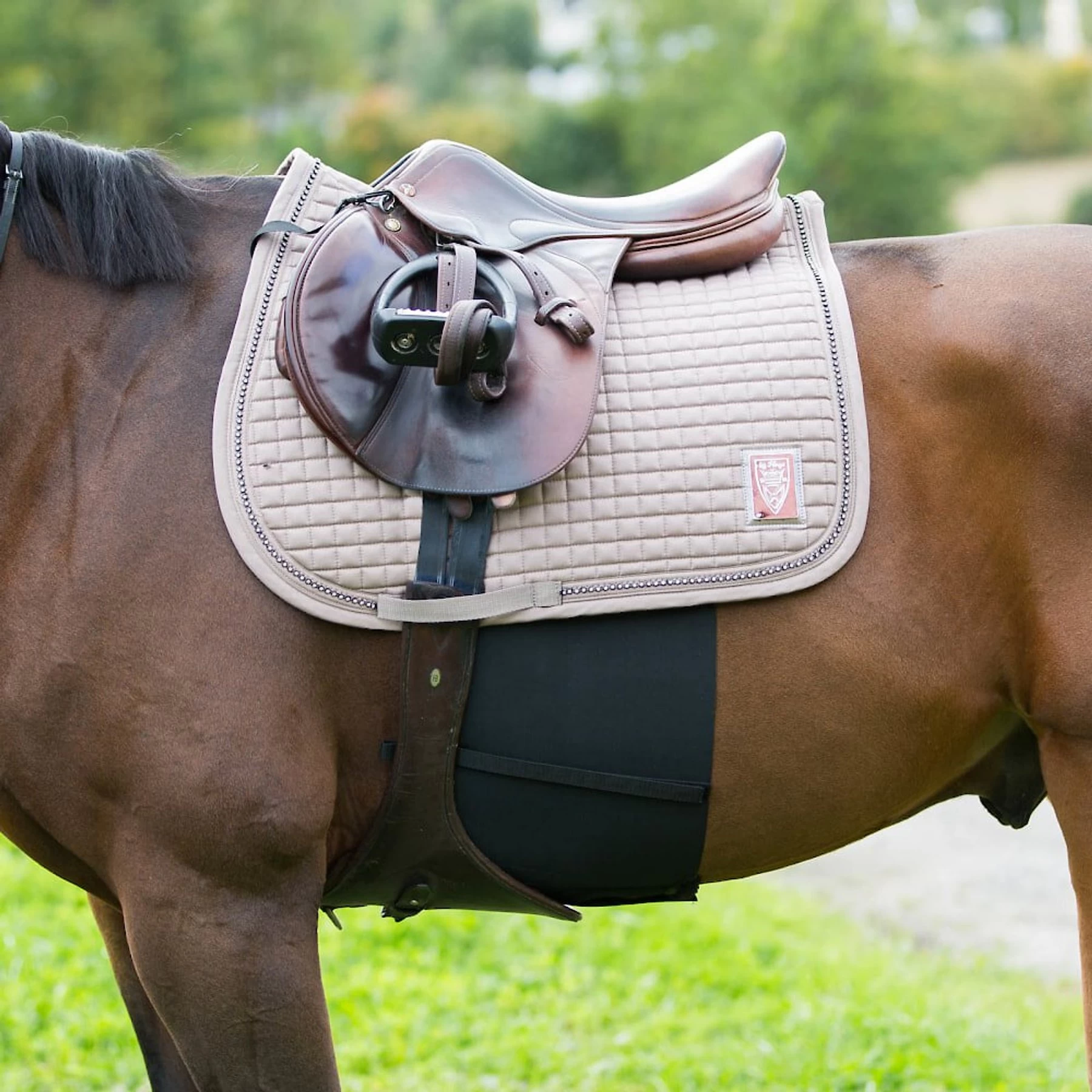 Horze Equestrian Elastic Horse Belly Guard, Black 2 Horze Equestrian Elastic Horse Belly Guard, Black - Image 2