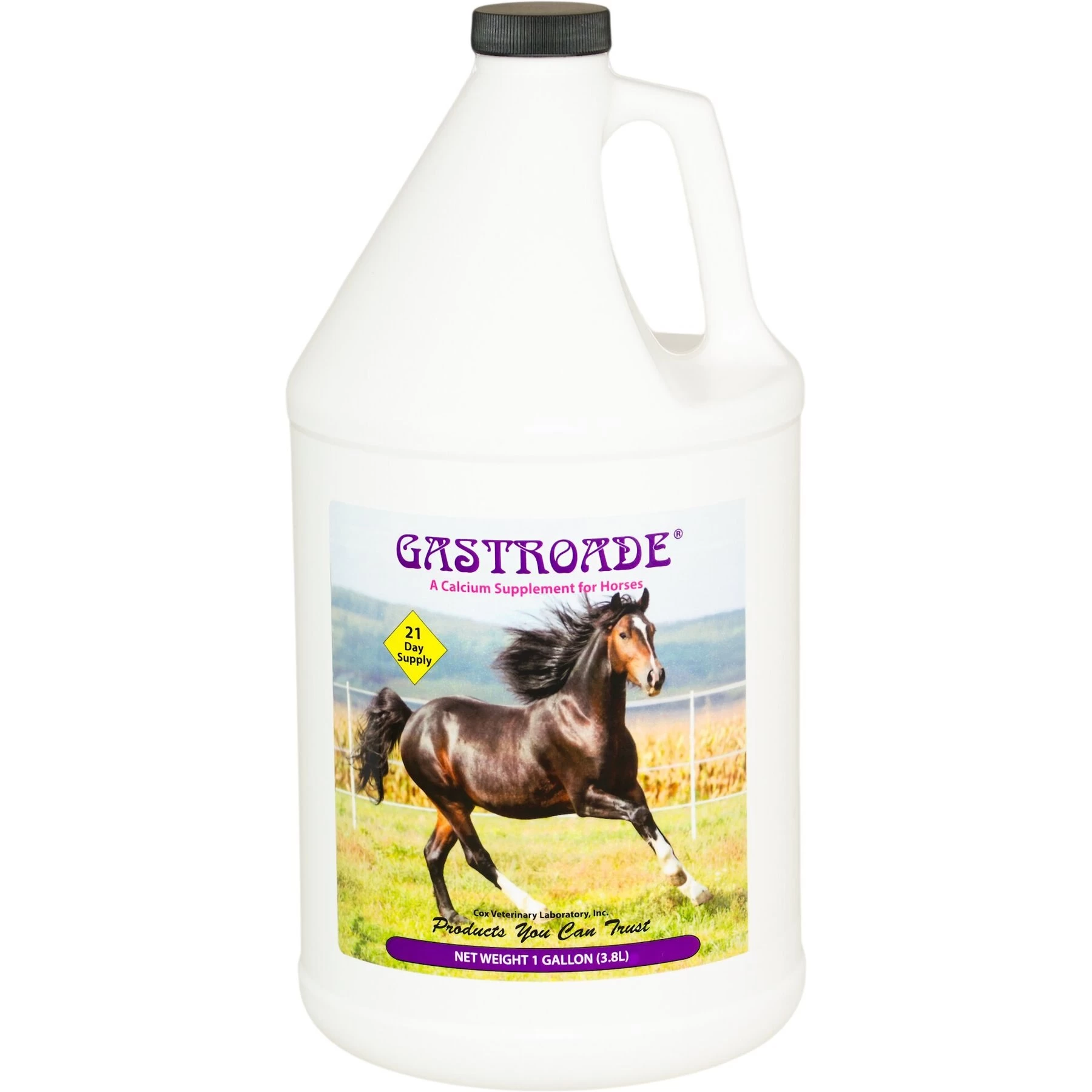 Cox Vet Lab Gastroade Liquid Horse Supplement, 1-gal Bottle 1 Cox Vet Lab Gastroade Liquid Horse Supplement, 1-gal Bottle