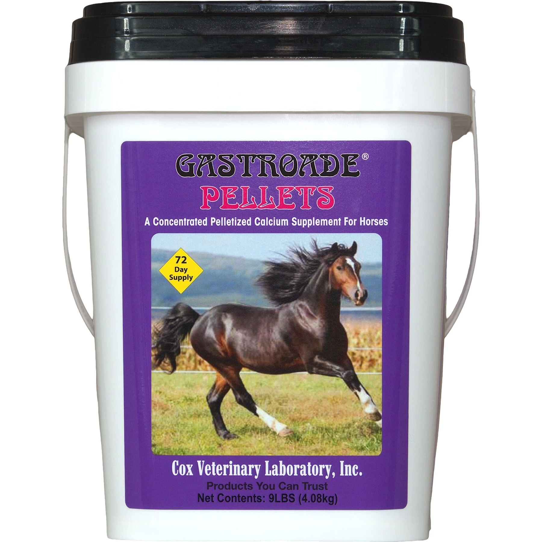 Cox Vet Lab Gastroade Pellets Horse Supplement 1 Cox Vet Lab Gastroade Pellets Horse Supplement