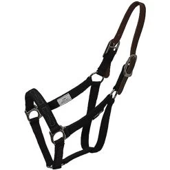 ThinLine Turnout Horse Halter