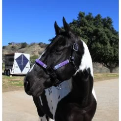 Kensington Protective Products Premium Nylon Horse Halter