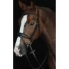 Collegiate Mono Crown Padded Raised Flash Horse Bridle