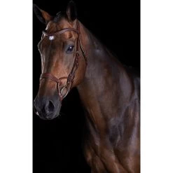 Collegiate Comfitec Training Horse Bridle